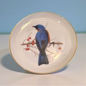 Vintage Eastern Bluebird Collector Plate – Protect Our Songbirds 8.25”